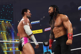 WWE Shares WWE 2K25 Trailer, Confirms Release Date