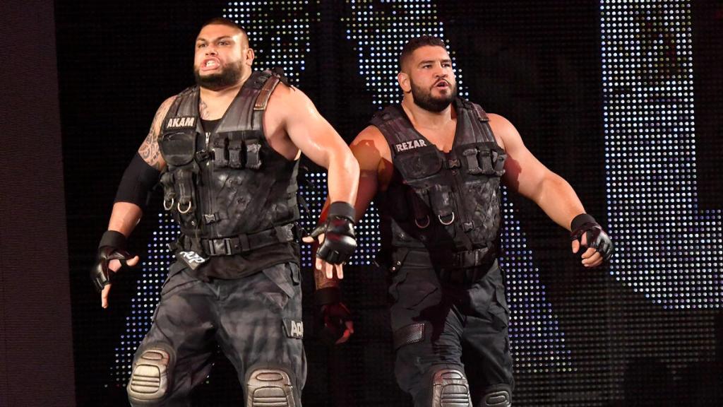 Authors of Pain WWE