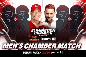 CM Punk WWE Elimination Chamber