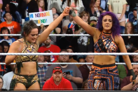 Bayley Qualifies For Women’s Elimination Chamber On 2/10 WWE RAW