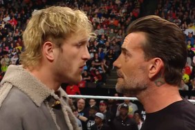 cm punk logan paul nobody wwe raw