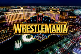 WrestleMania 41 Las Vegas