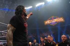 Roman Reigns WWE WrestleMania 41