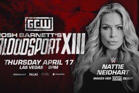 WWE Natalya Bloodsport