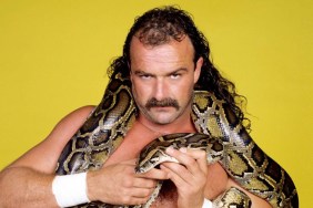 jake roberts