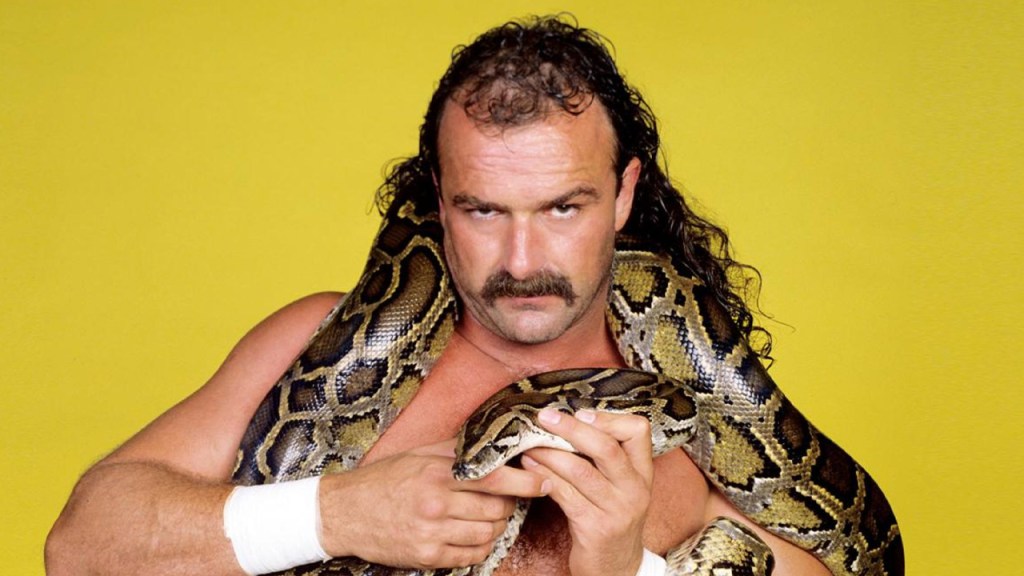 jake roberts