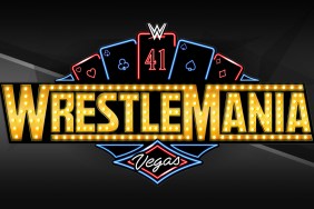 wwe wrestlemania 41 grey